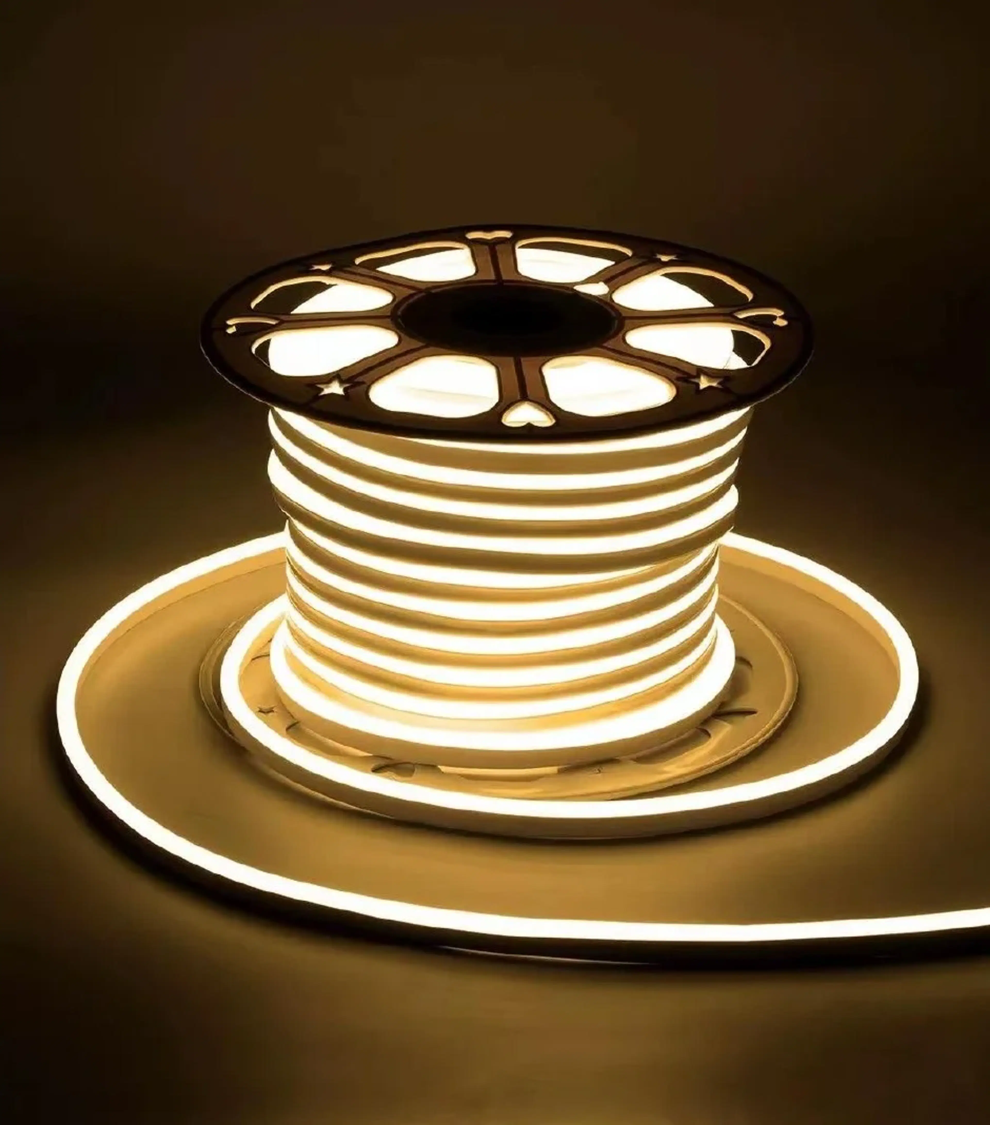 Lampu Neonflex 8*16 100M 5 socket