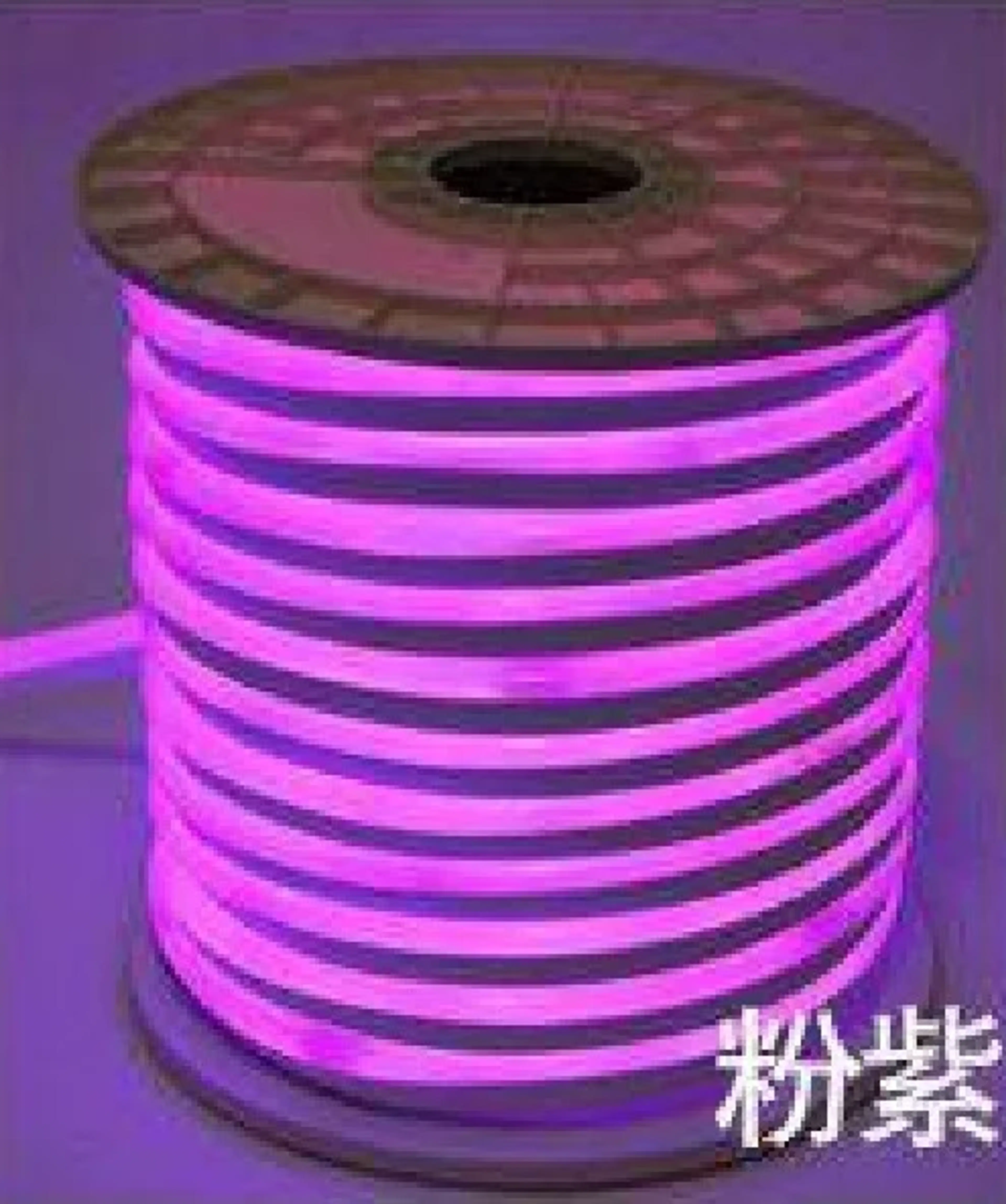Lampu Neonflex 8*16 100M 5 socket - Image 9