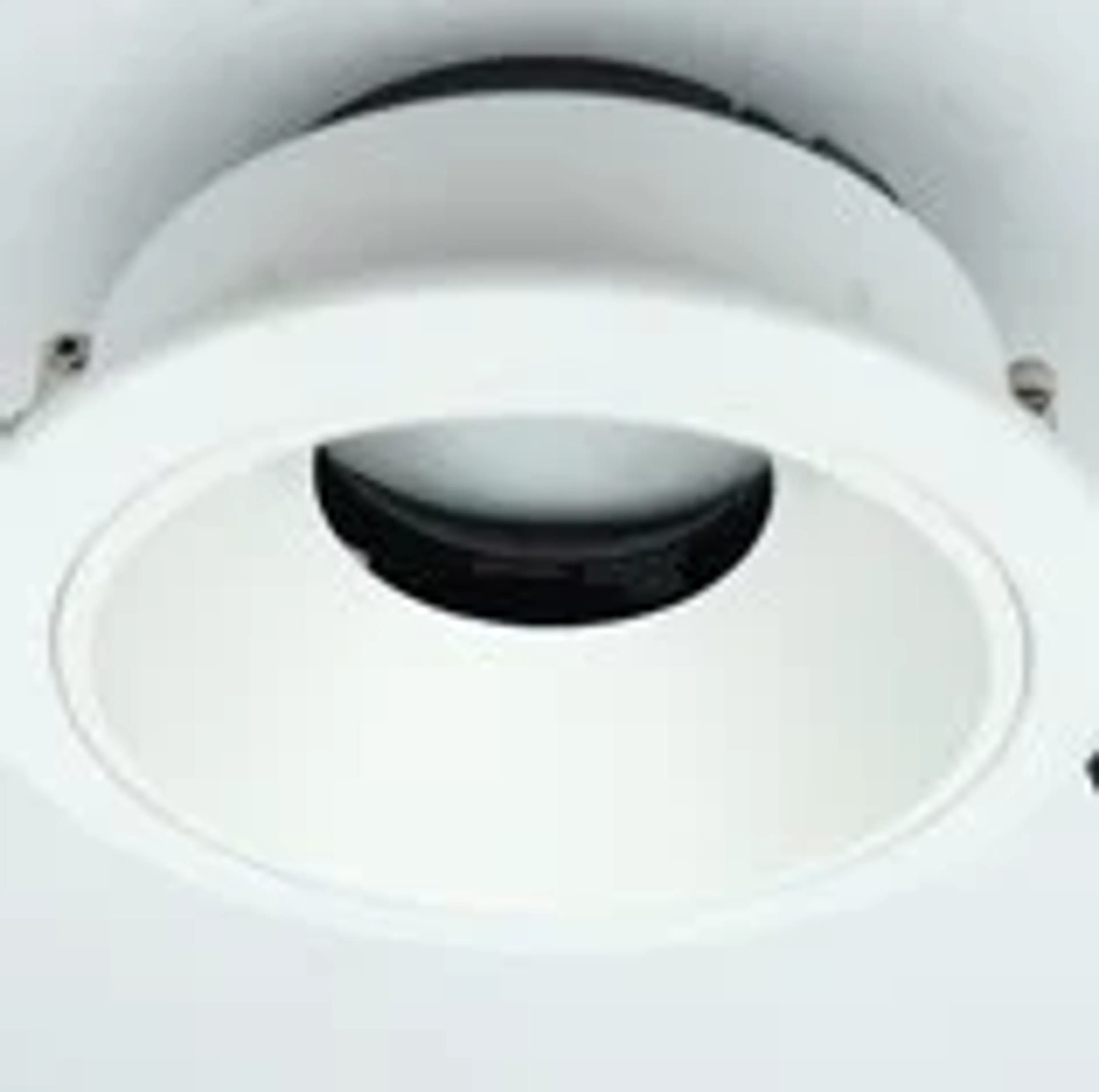 AR 161 - Image 4