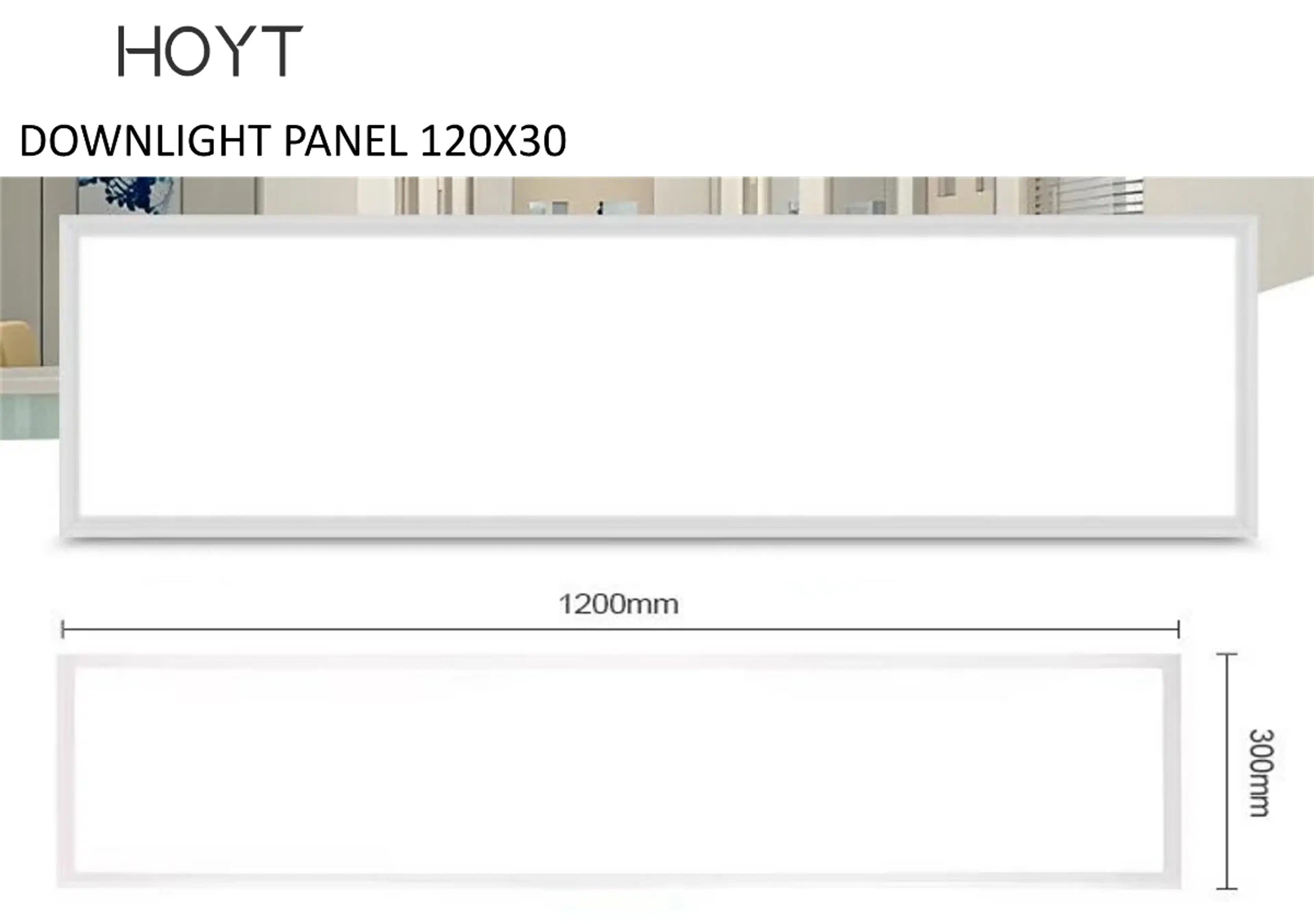 DOWNLIGHT PANEL 120X30