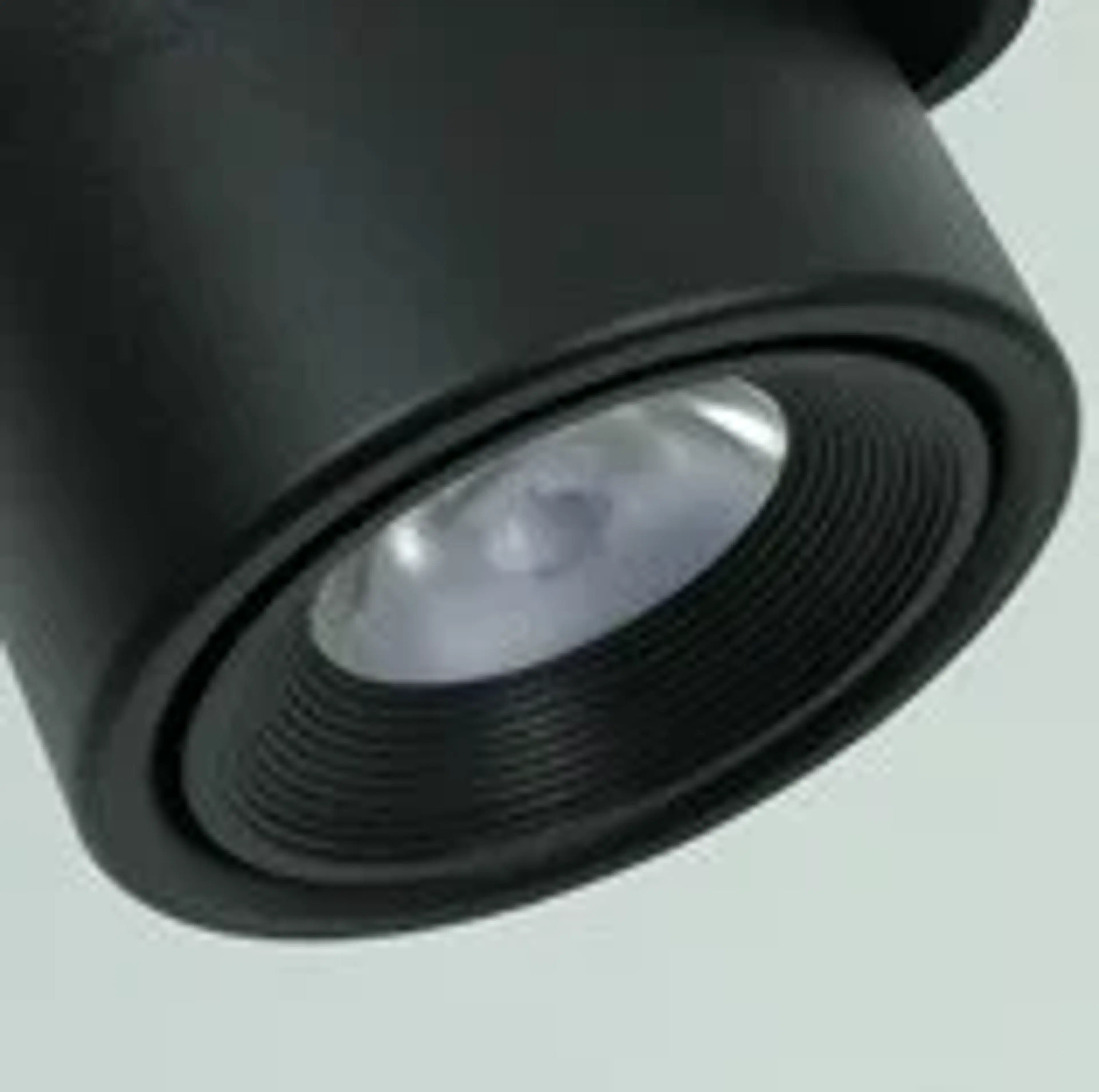 AR 313 - Image 3