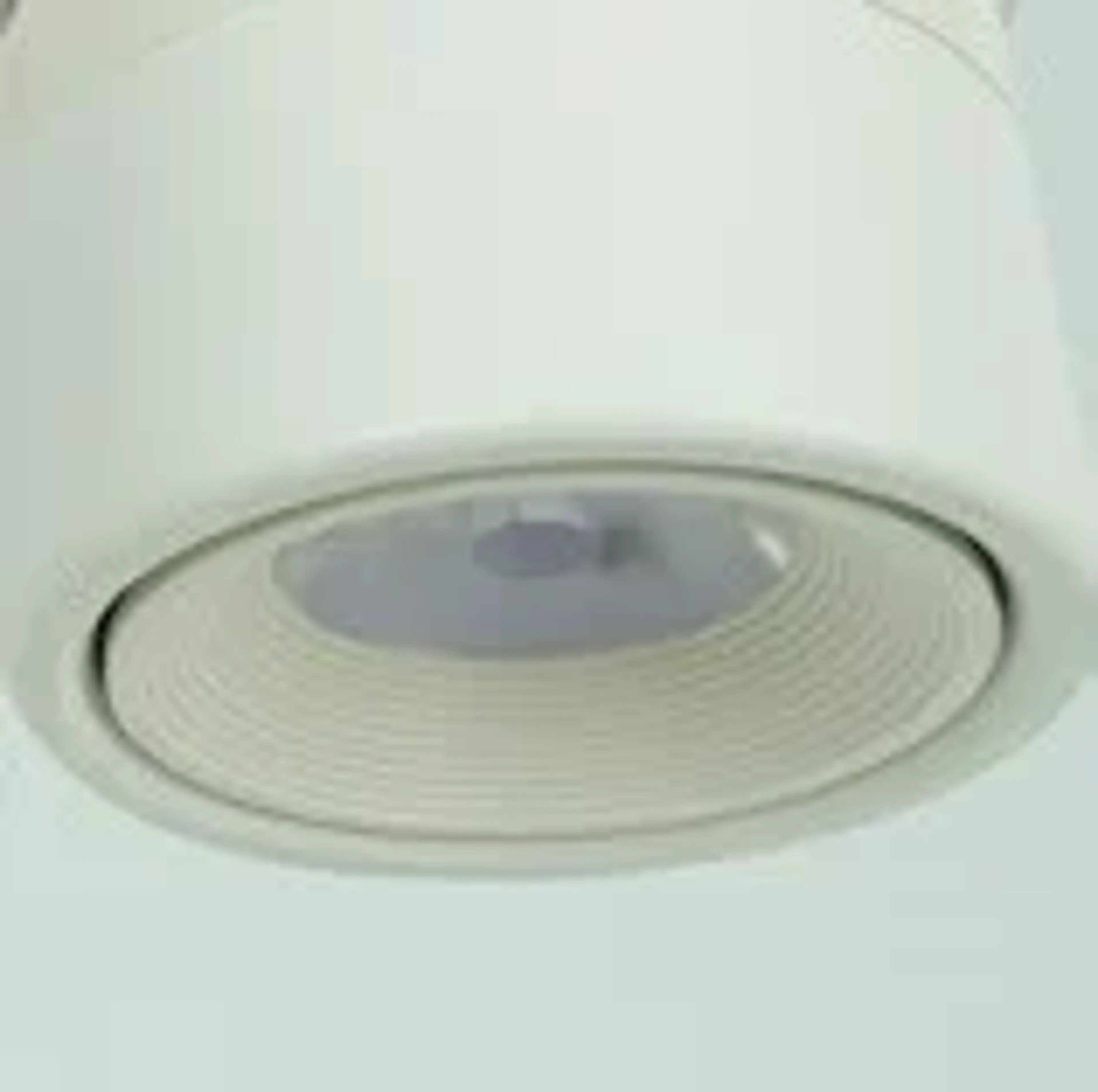 AR 313 - Image 4