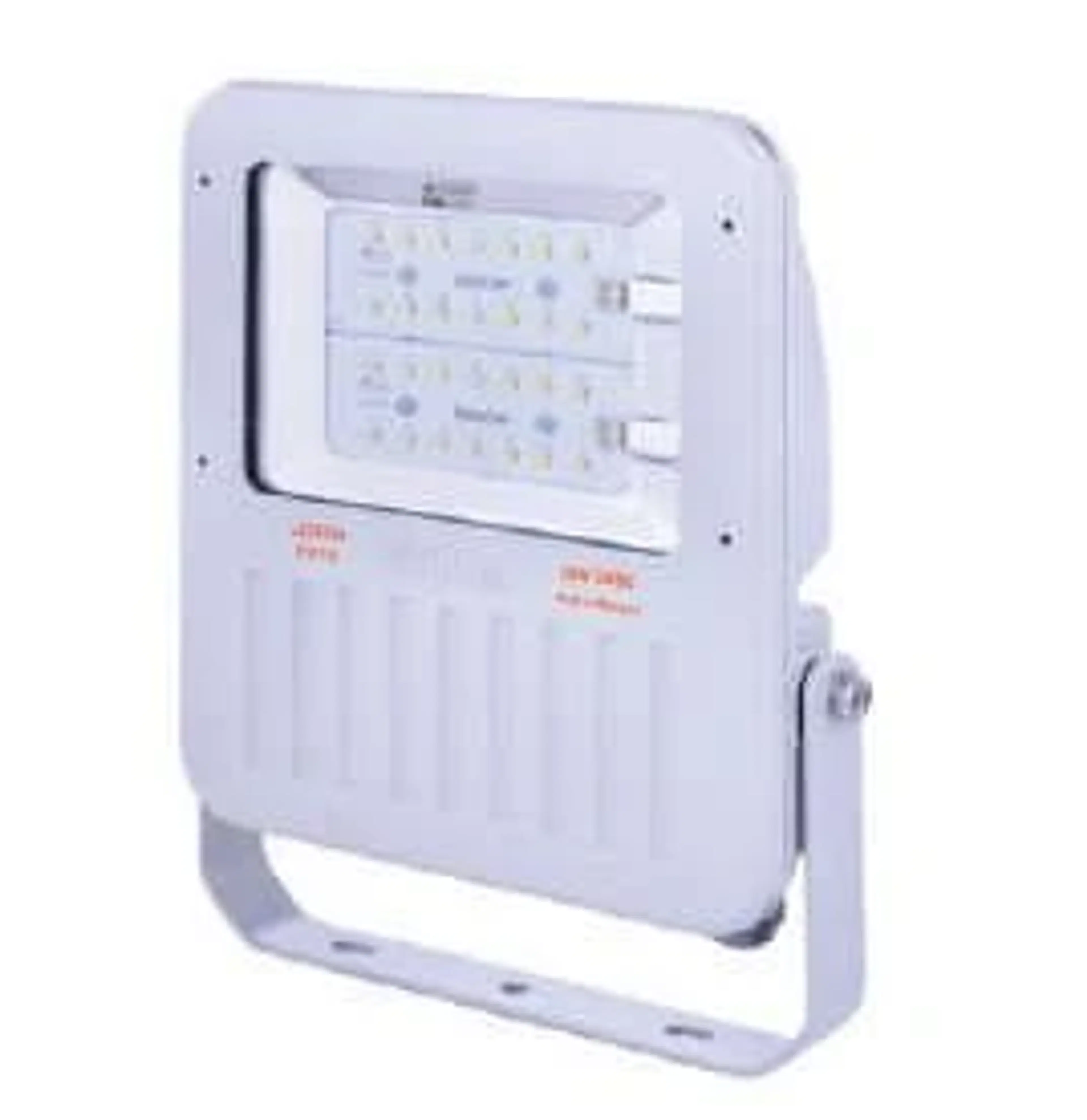 LEDXION S3060 HP Floodlight
