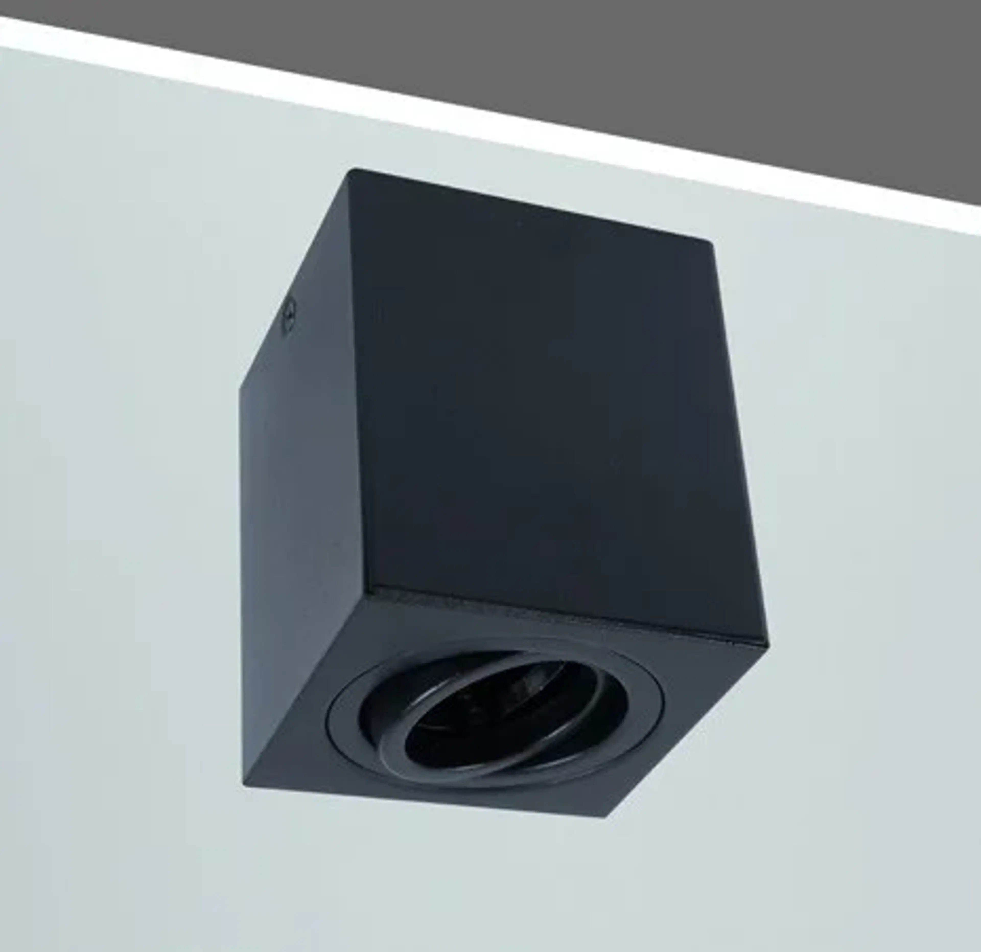 AR 207 - Image 2