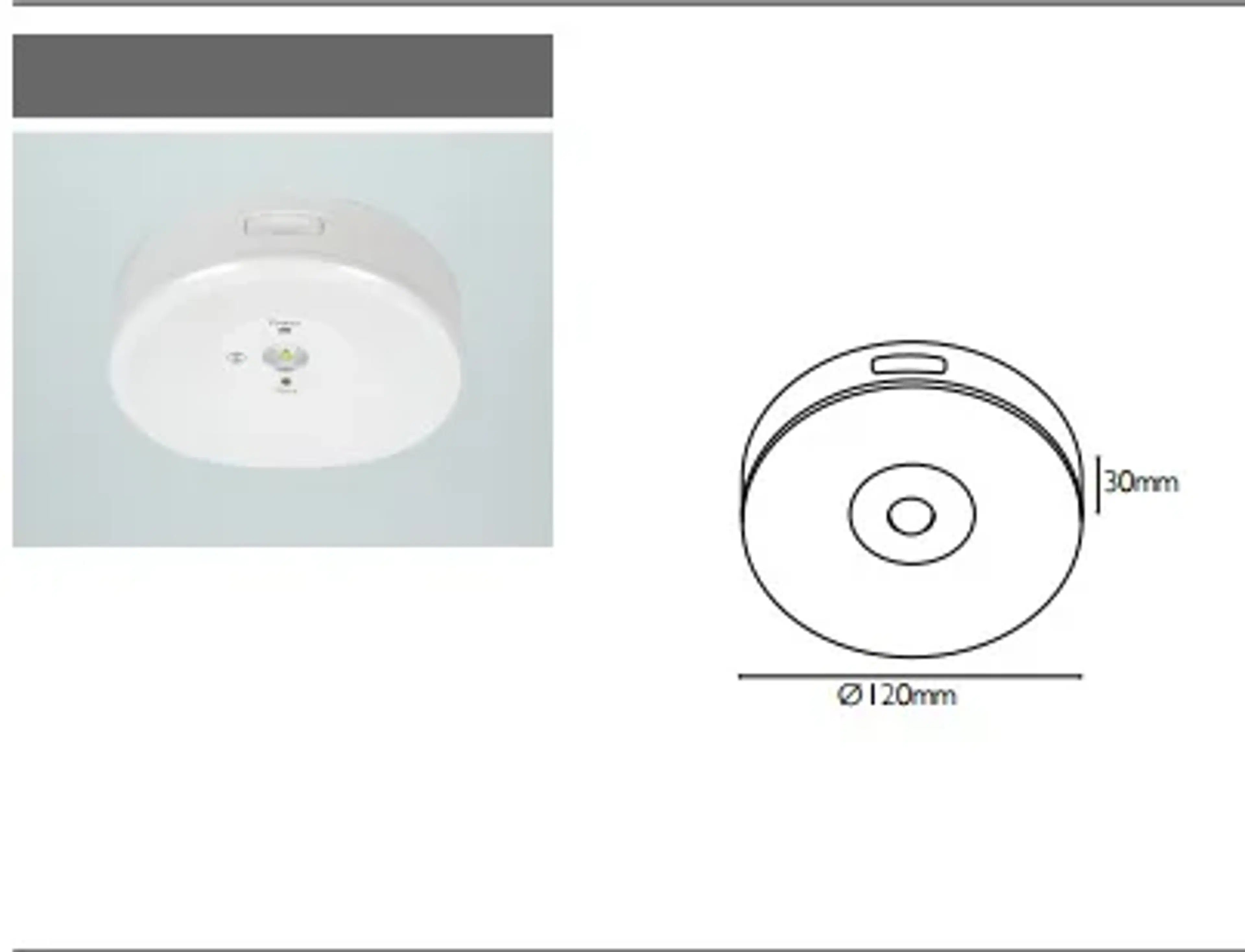 Emergency Downlight AR 308