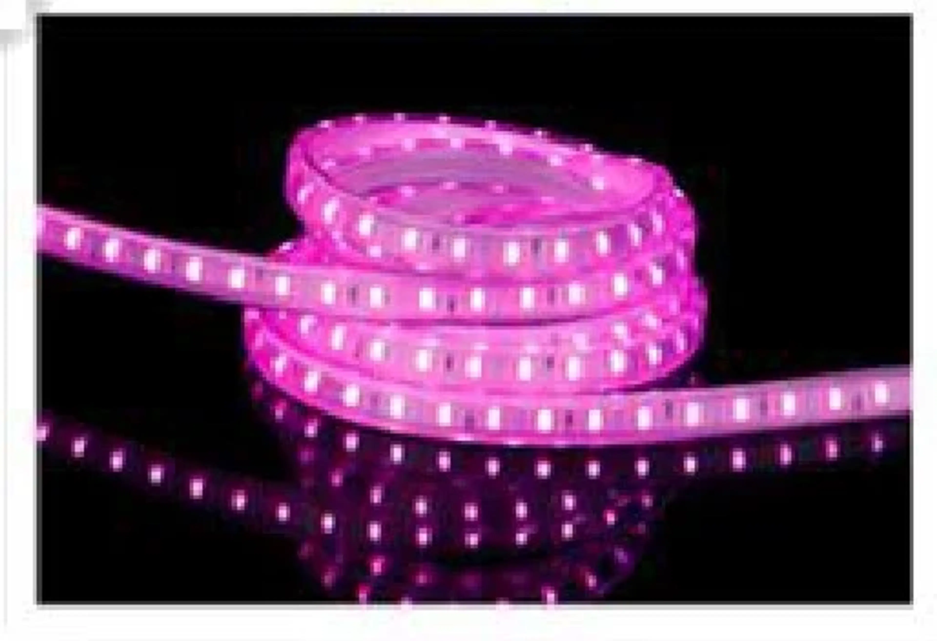 Lampu Selang 5050 60D RGB 100M 3 SOCKET - Image 9