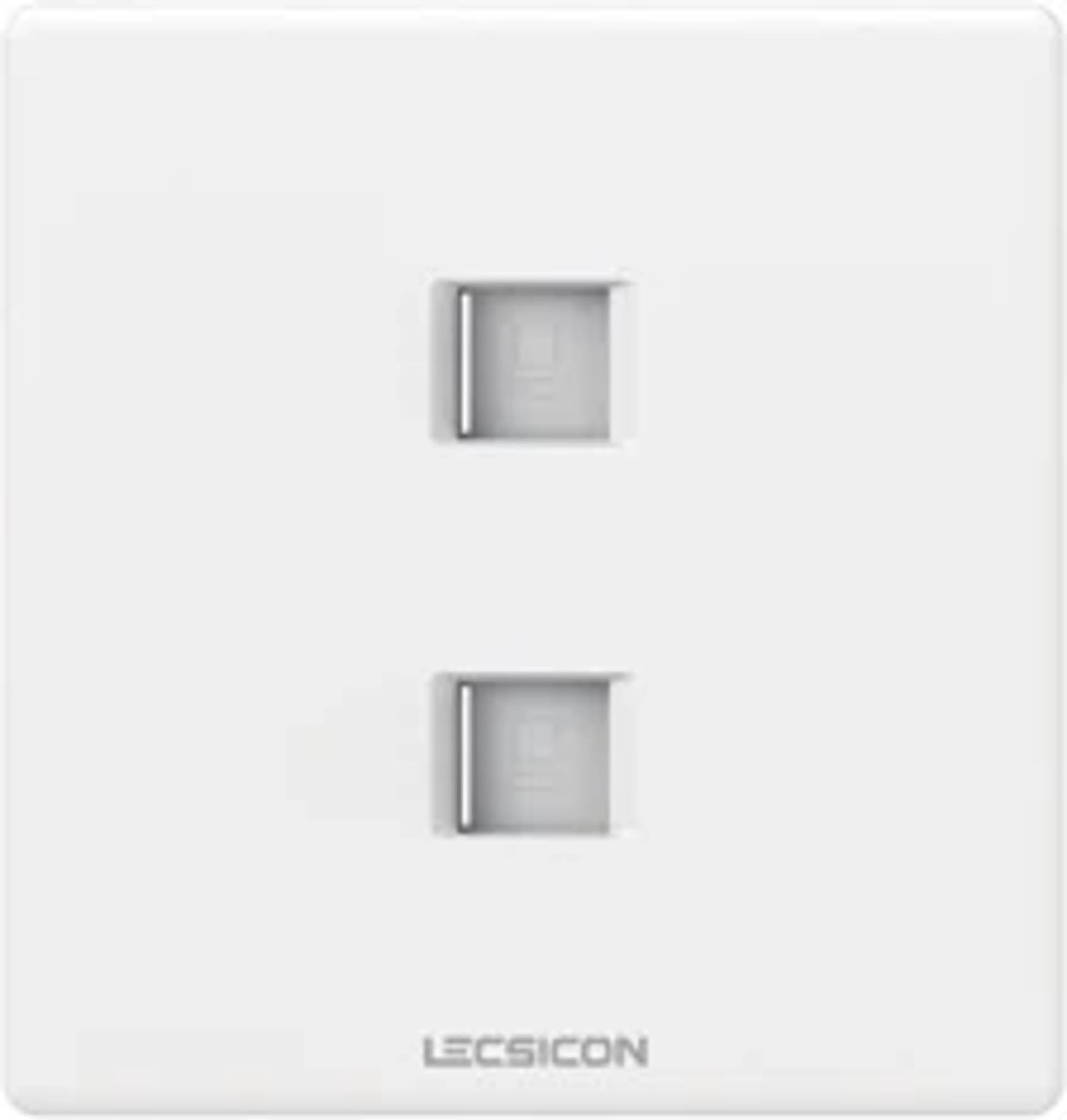 LECSICON Hexa Outlet Data 2 Gang CAT-6