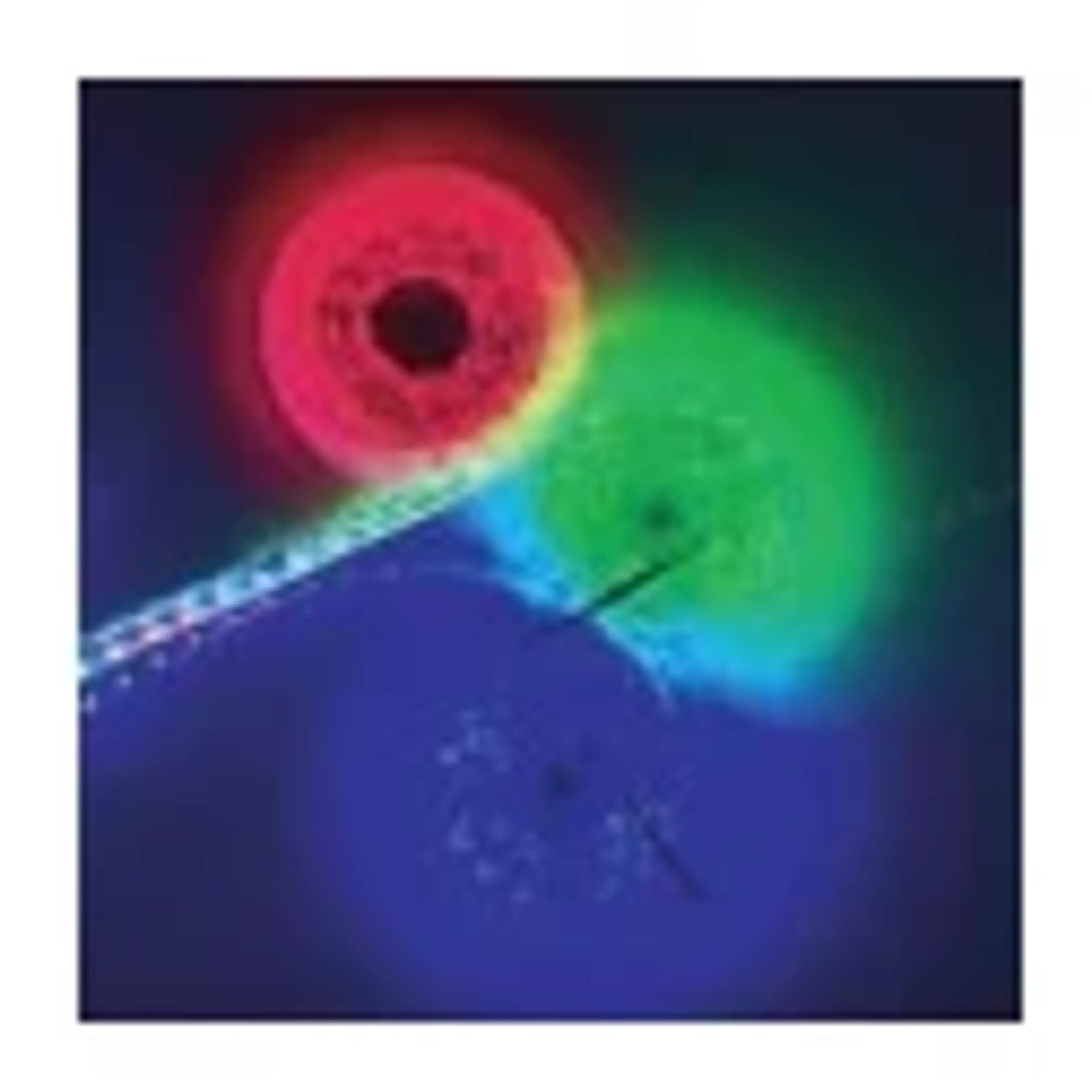 Lampu LED Strip 5050 60 LED 12V