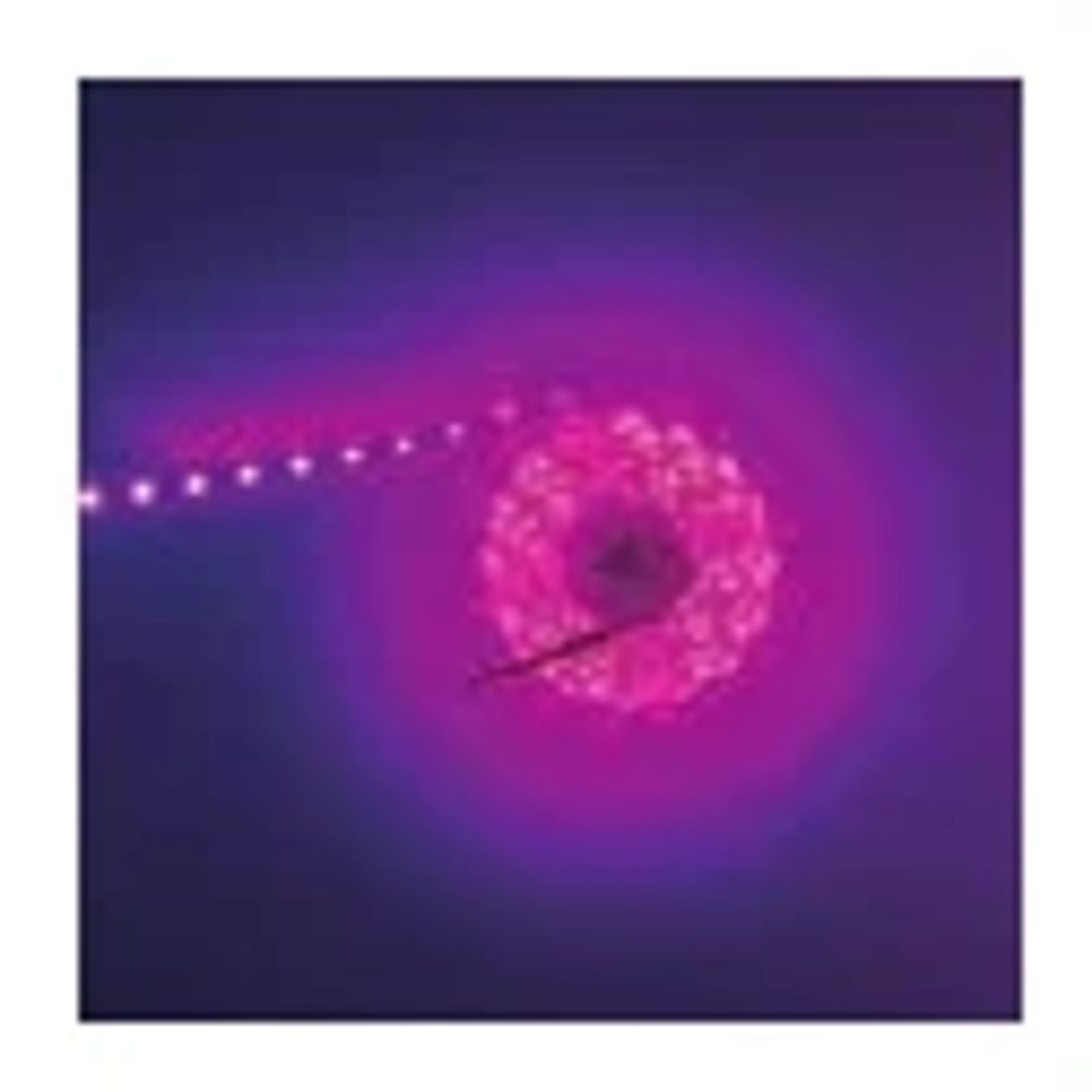 Lampu LED Strip 5050 60 LED 12V - Image 2