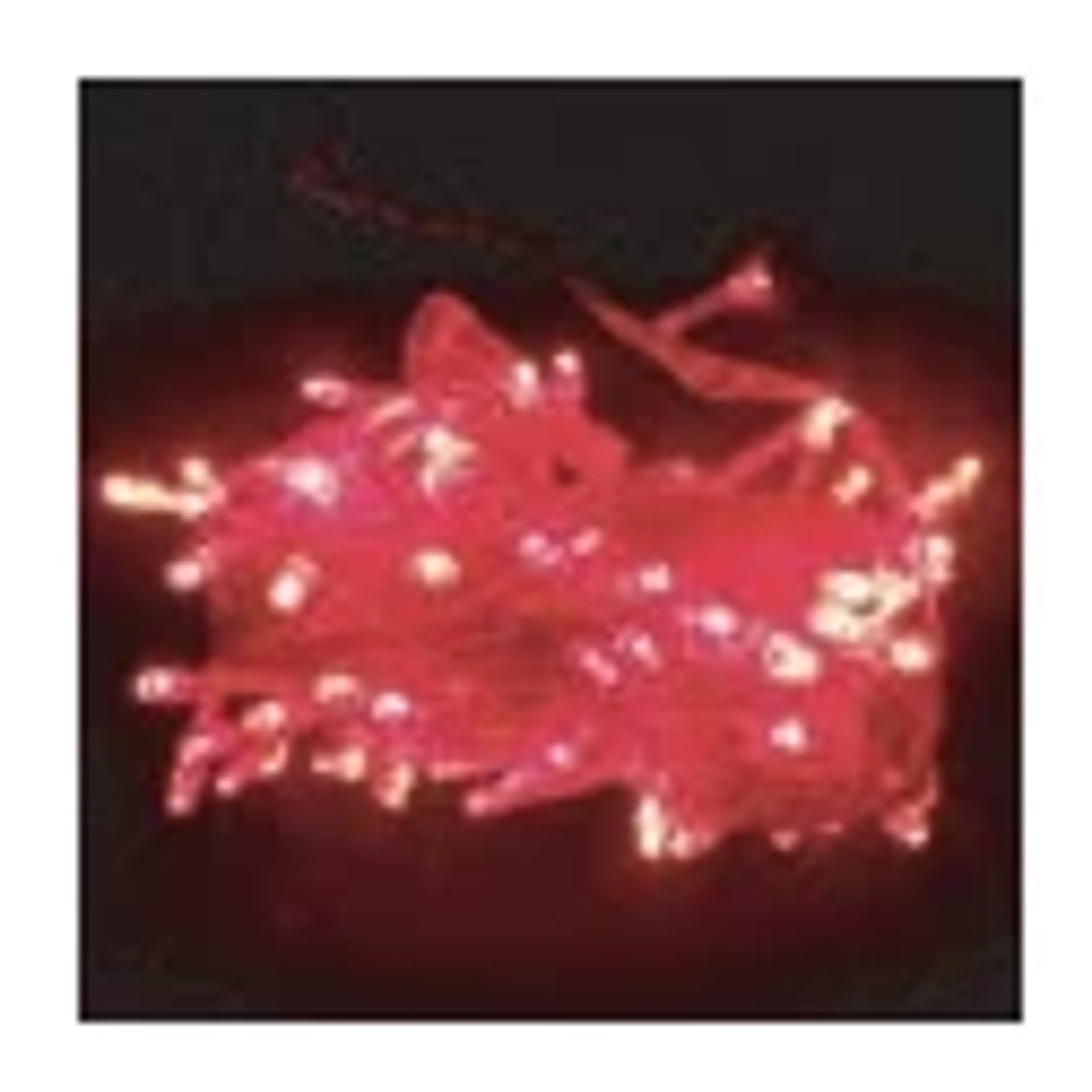 Lampu Natal Lurus & Tirai - Image 2