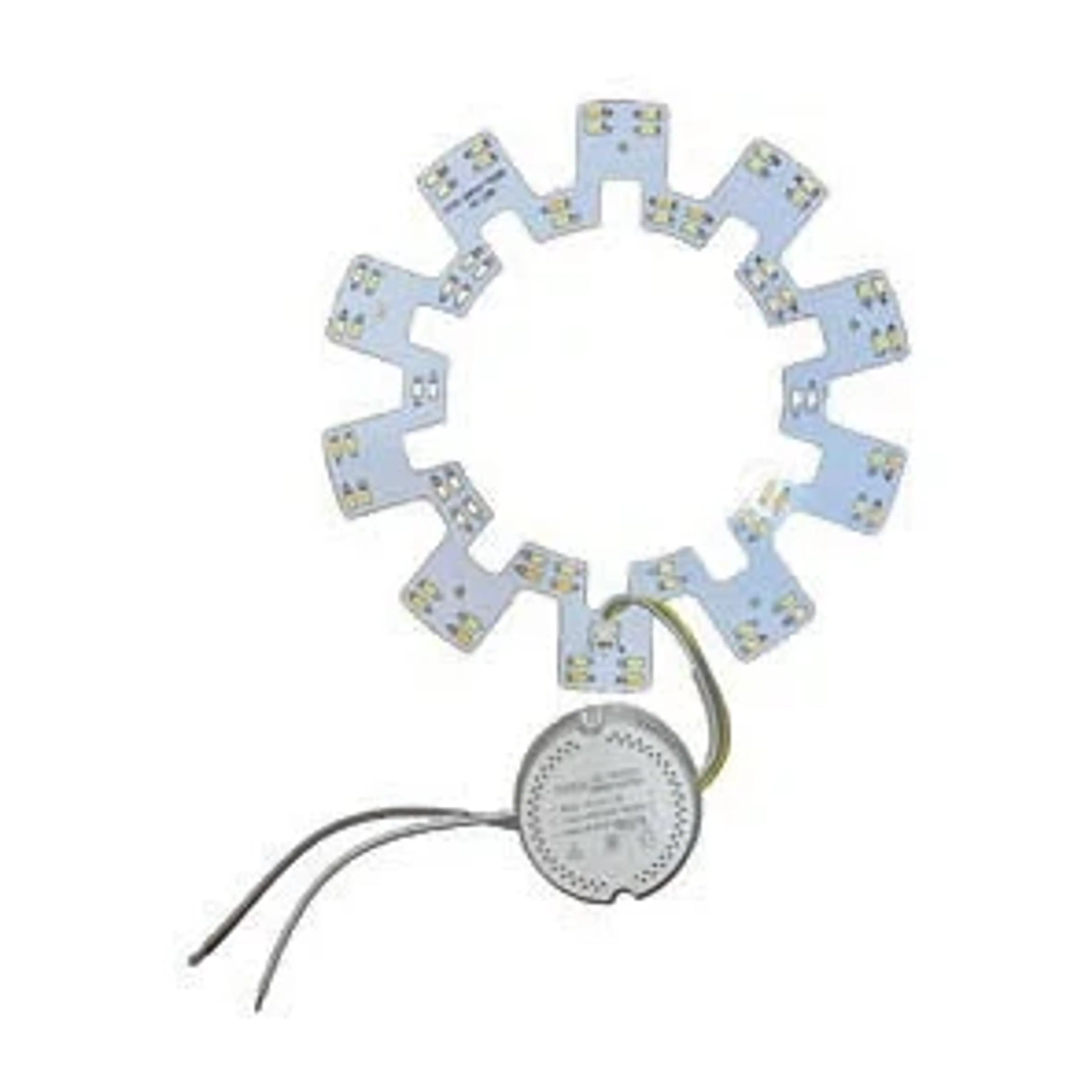 TL Ring Gisi-Gisi - Image 2