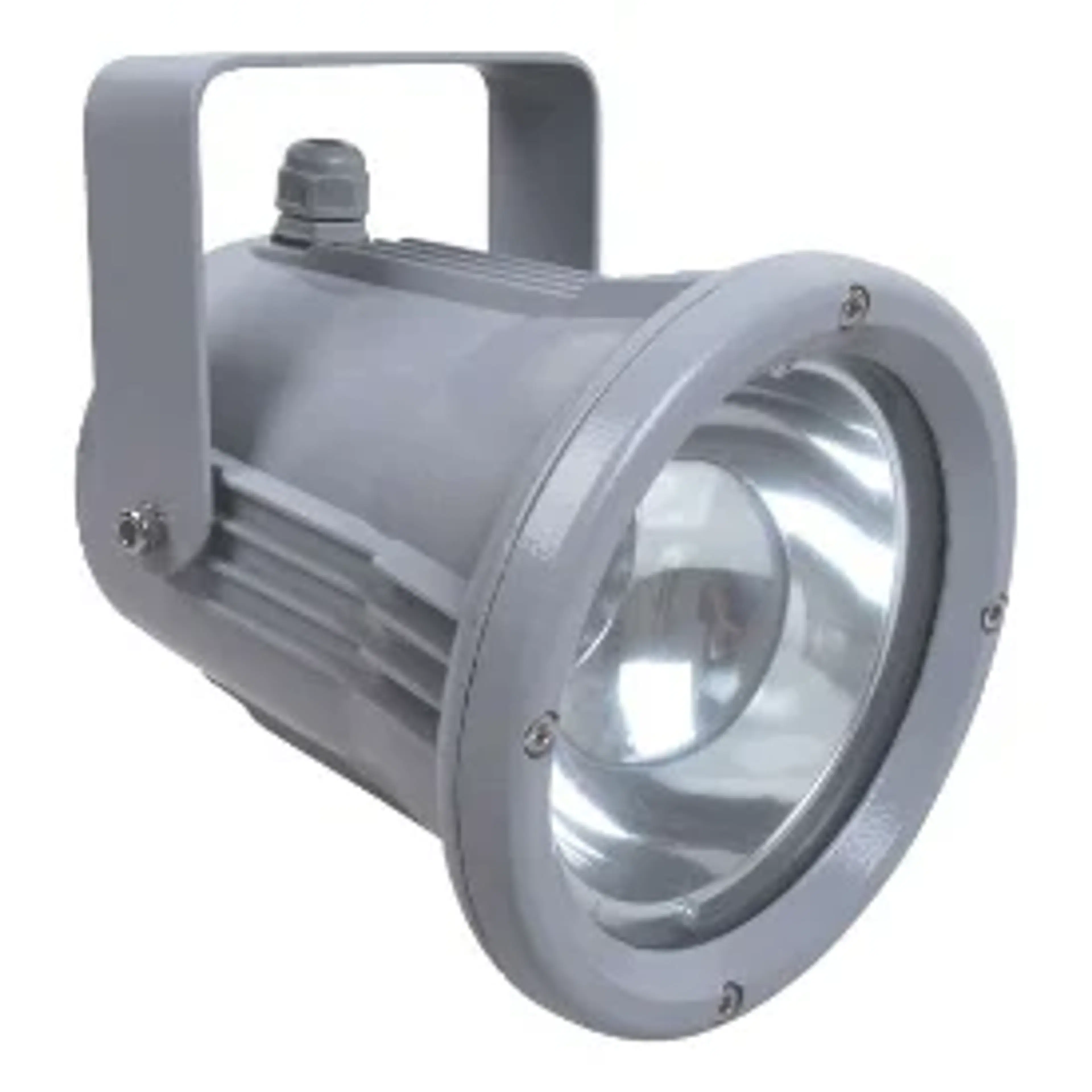 Spotlight ZETALUX ZY-2034-1